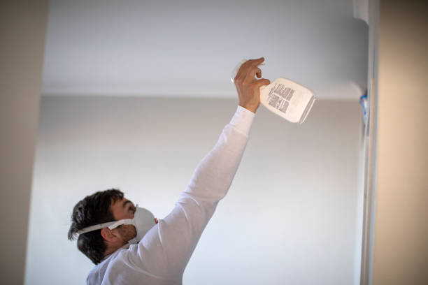 Professional Mold Removal in Union Mill, VA