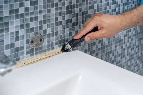 Best Mold Remediation Services  in Union Mill, VA