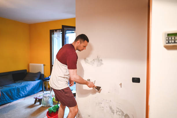 Best Mold Cleaning Services  in Union Mill, VA